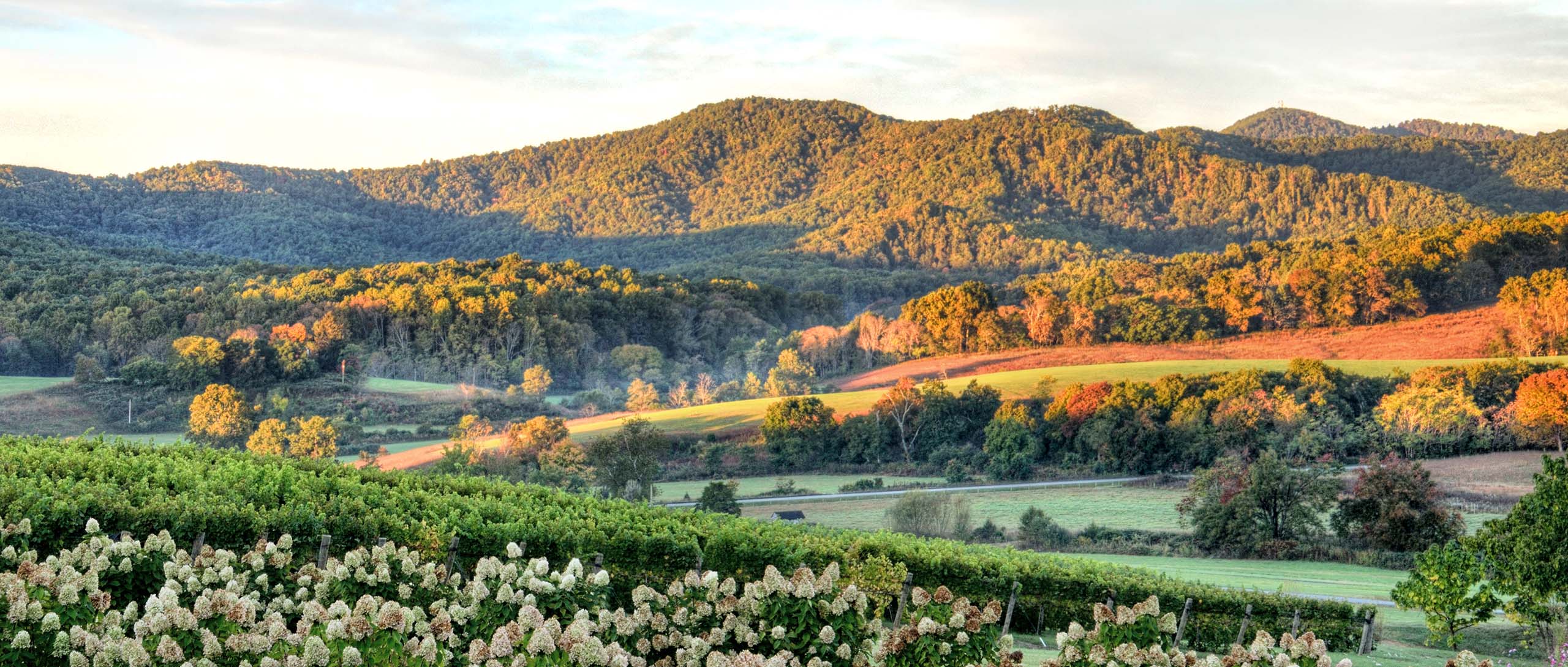 Best Home Warranty Plans in Virginia